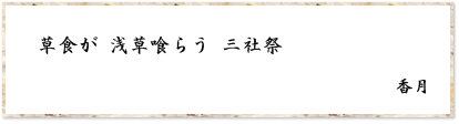 草食が 浅草喰らう 三社祭　香月